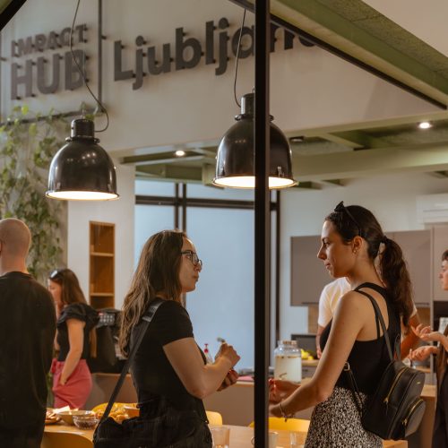 2023-30-6-impactHUB_Ljubljana_anjapapuga-36